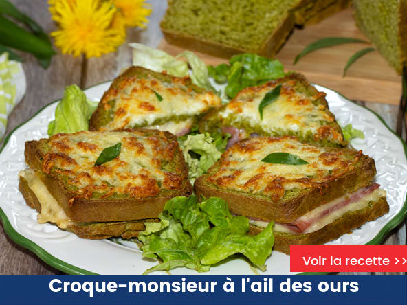 Croque-monsieur à l'ail des ours